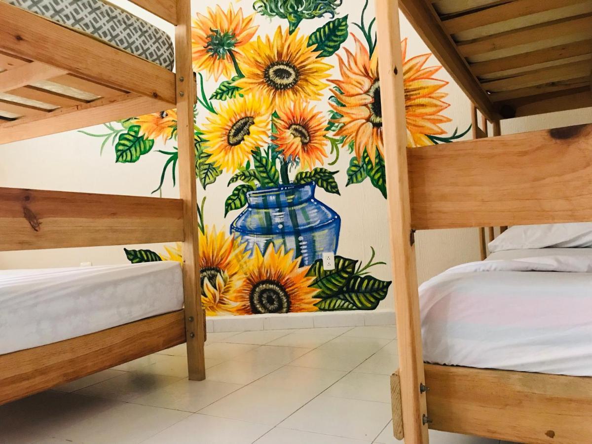 Casa Bugambilias Ξενοδοχείο Κανκούν Εξωτερικό φωτογραφία