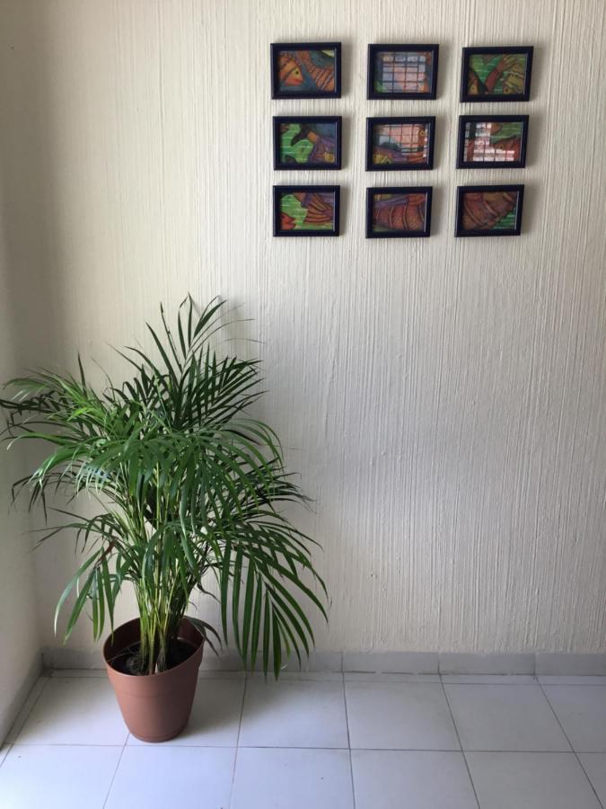 Casa Bugambilias Ξενοδοχείο Κανκούν Εξωτερικό φωτογραφία